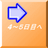 4～５日目へ 
